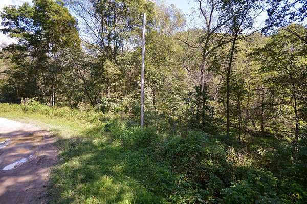 6 Acres of Land for Sale in Ferryville, Wisconsin