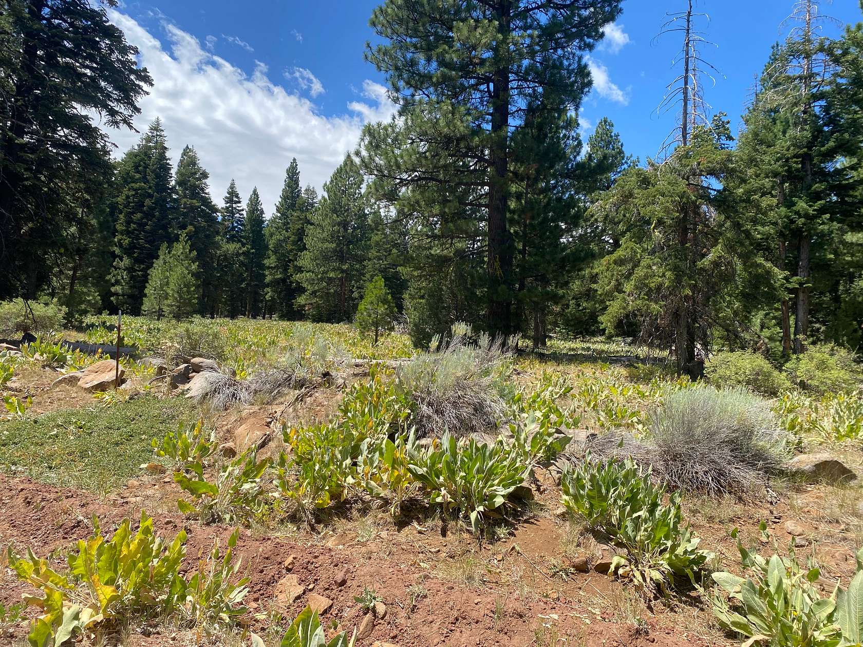 0.87 Acres of Residential Land for Sale in Alturas, California
