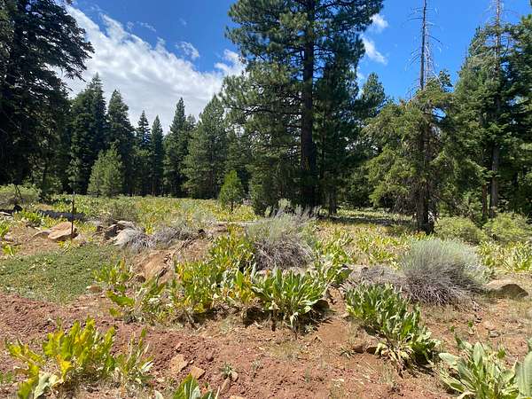 0.87 Acres of Residential Land for Sale in Alturas, California
