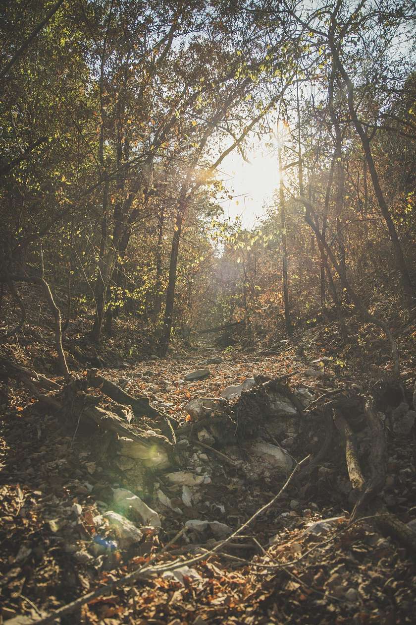 35 Acres of Recreational Land for Sale in Powell, Missouri