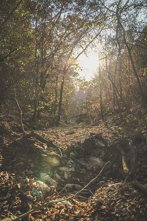 35 Acres of Recreational Land for Sale in Powell, Missouri