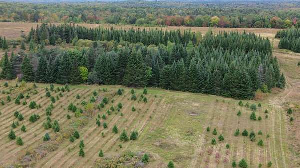 5.17 Acres of Land for Sale in Littleton, Maine