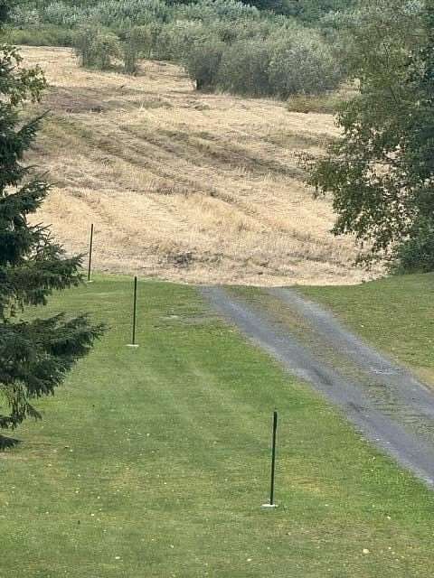 38 Acres of Agricultural Land for Sale in Madawaska, Maine