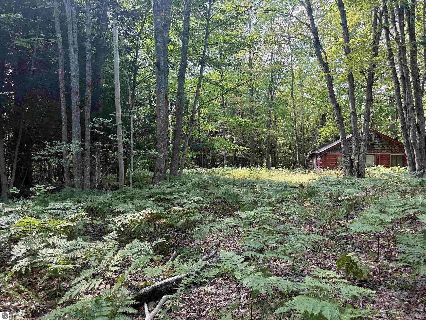 20 Acres of Recreational Land for Sale in Fife Lake, Michigan