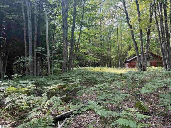 20 Acres of Recreational Land for Sale in Fife Lake, Michigan
