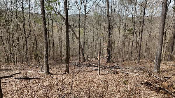 8.33 Acres of Residential Land for Sale in Decatur, Tennessee