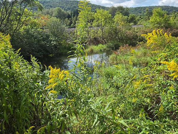 13.2 Acres of Recreational Land for Sale in North Norwich, New York