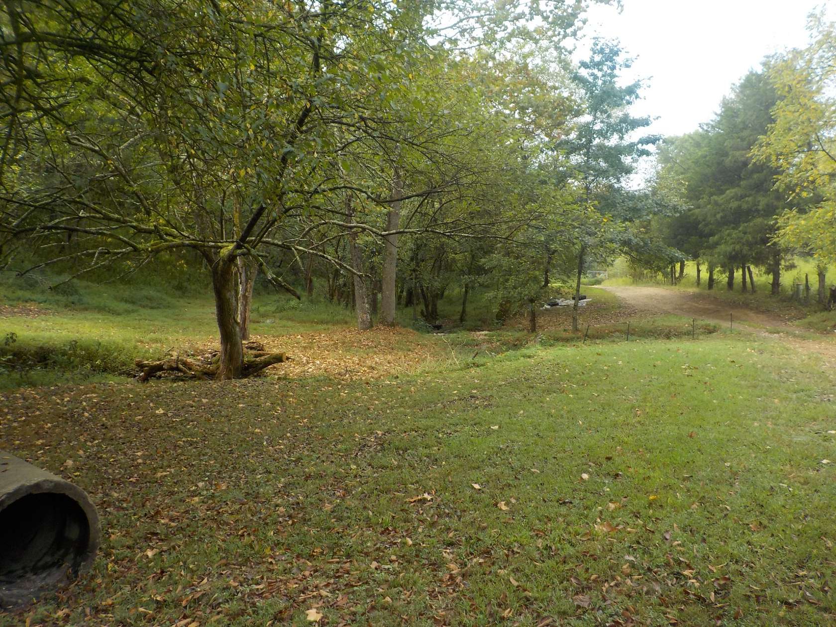37.5 Acres of Land for Sale in Bethpage, Tennessee