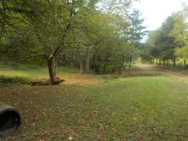 37.5 Acres of Land for Sale in Bethpage, Tennessee