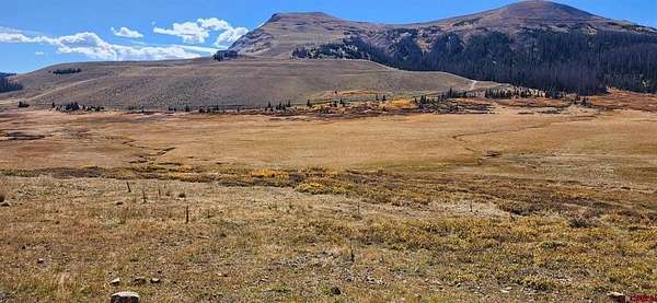 37.5 Acres of Recreational Land for Sale in South Fork, Colorado