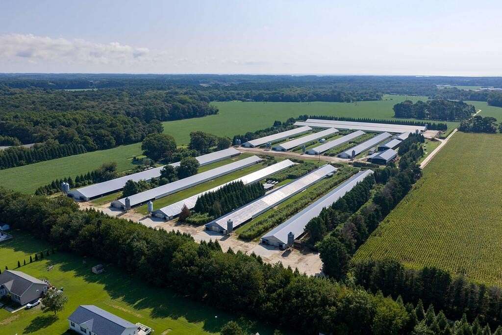 22.9 Acres of Agricultural Land for Sale in Melfa, Virginia