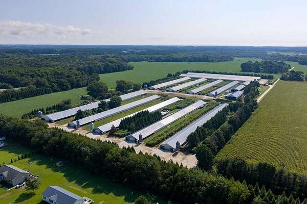 22.9 Acres of Agricultural Land for Sale in Melfa, Virginia