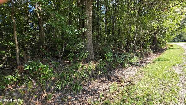 1.37 Acres of Residential Land for Sale in Whiteville, North Carolina
