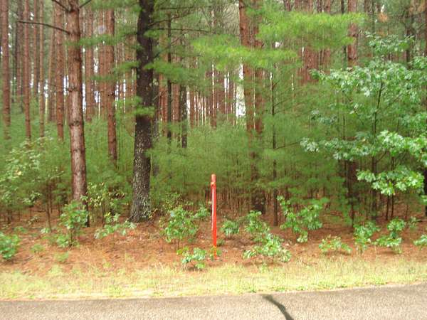 1.5 Acres of Residential Land for Sale in Redgranite, Wisconsin
