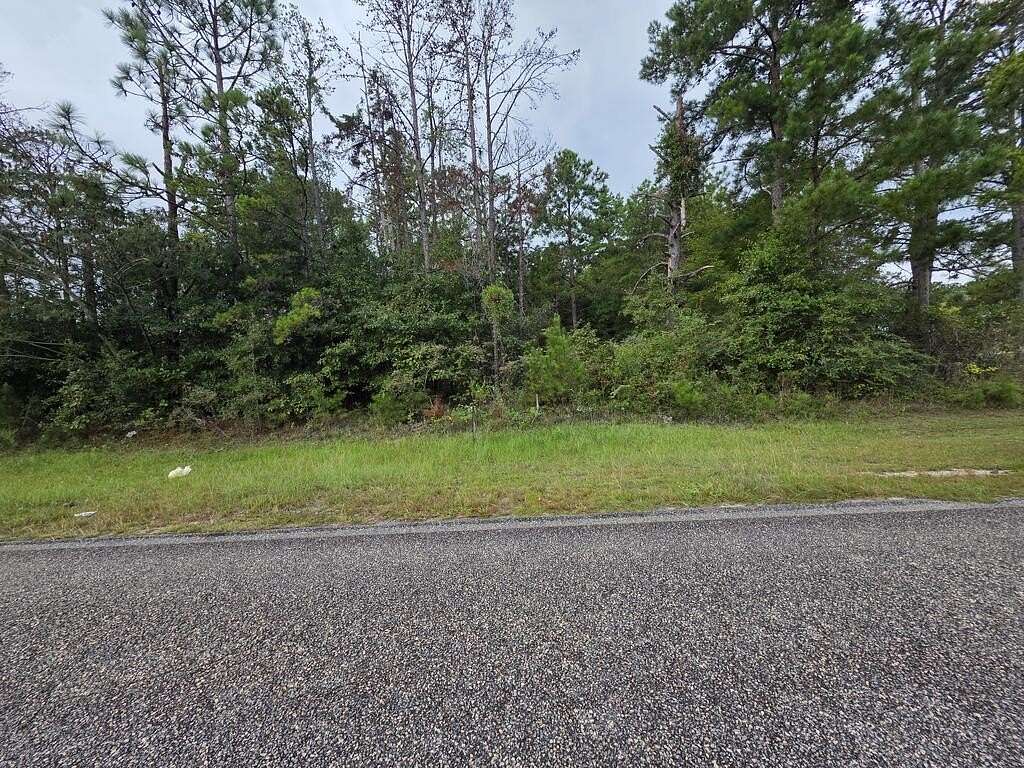 1 Acre of Residential Land for Sale in Georgetown, Georgia