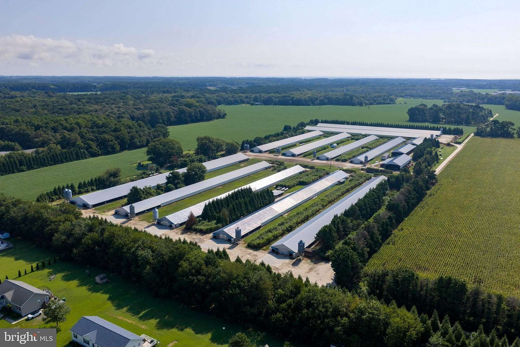 22.9 Acres of Agricultural Land with Home for Sale in Melfa, Virginia