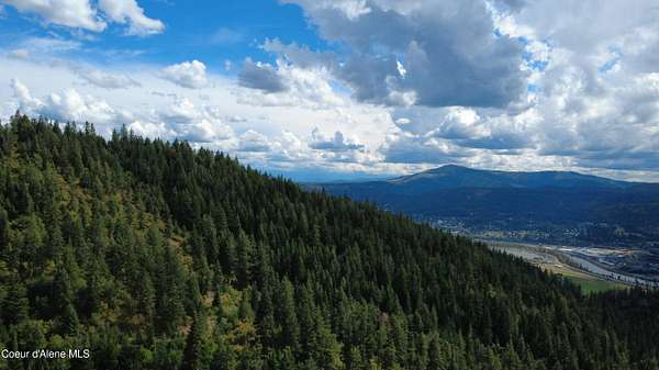 40 Acres of Recreational Land for Sale in St. Maries, Idaho