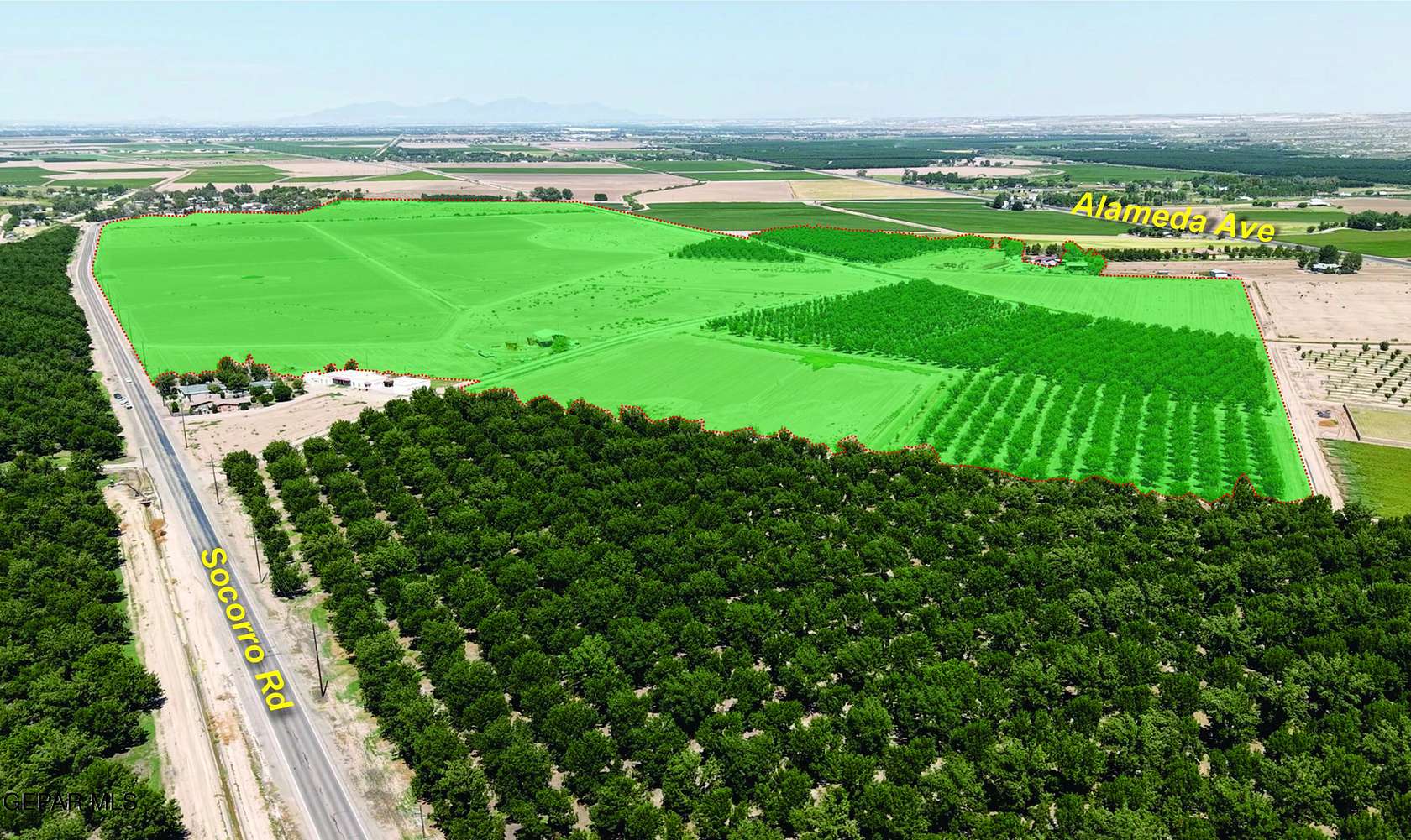 207 Acres of Land for Sale in Clint, Texas