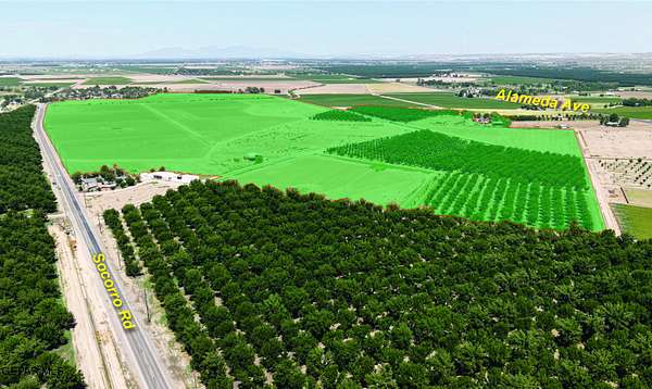 207 Acres of Land for Sale in Clint, Texas
