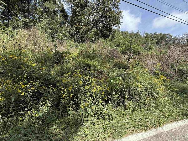 0.52 Acres of Residential Land for Sale in Milton, West Virginia