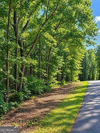 1.3 Acres of Residential Land for Sale in Toccoa, Georgia
