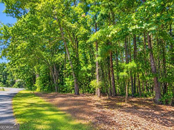 1.3 Acres of Residential Land for Sale in Toccoa, Georgia