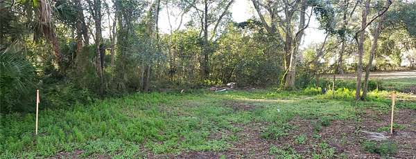 0.1 Acres of Residential Land for Sale in Apopka, Florida