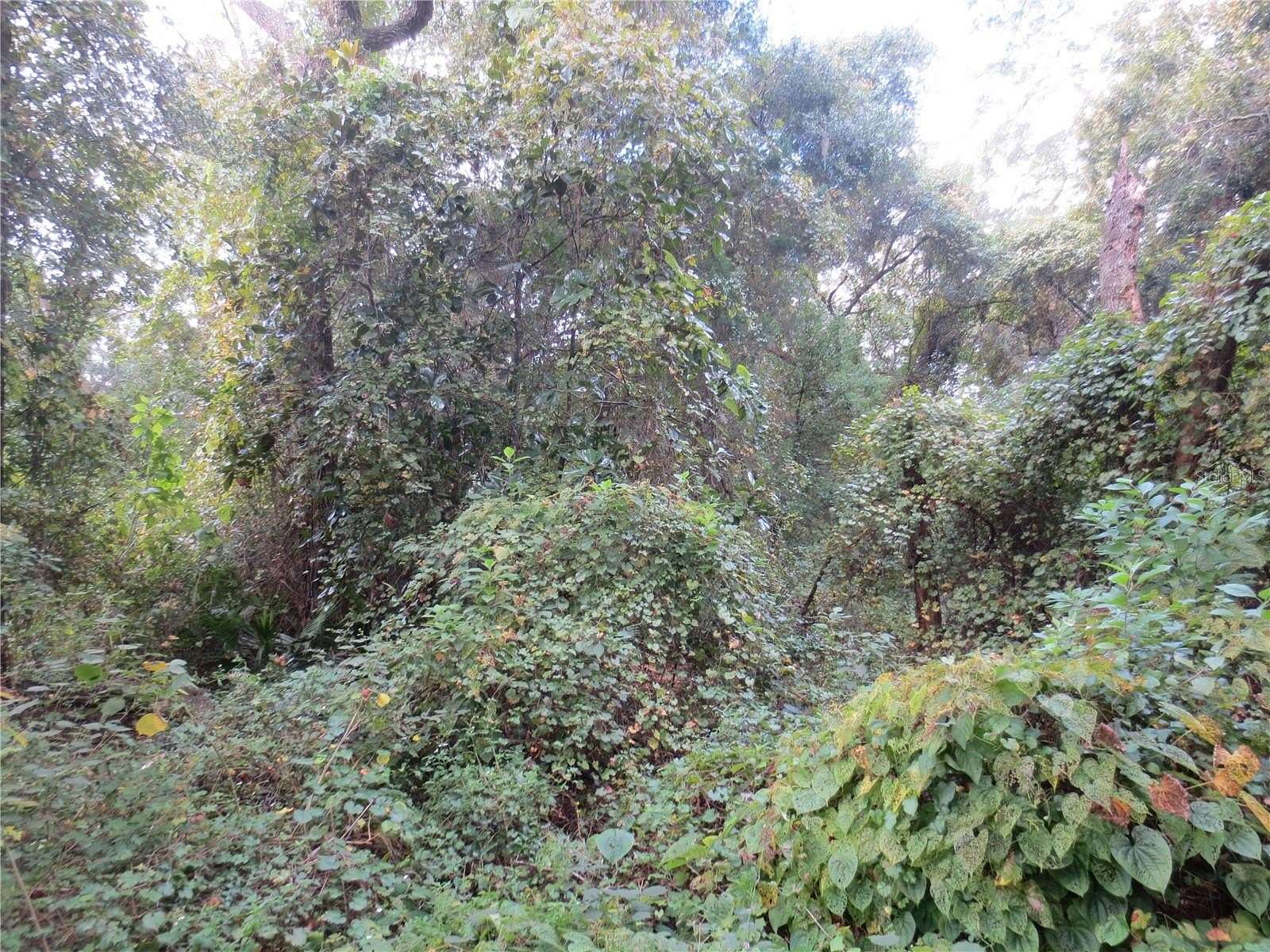 0.41 Acres of Residential Land for Sale in Silver Springs, Florida