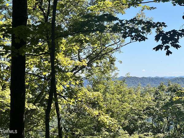 100 Acres of Land for Sale in Sneedville, Tennessee