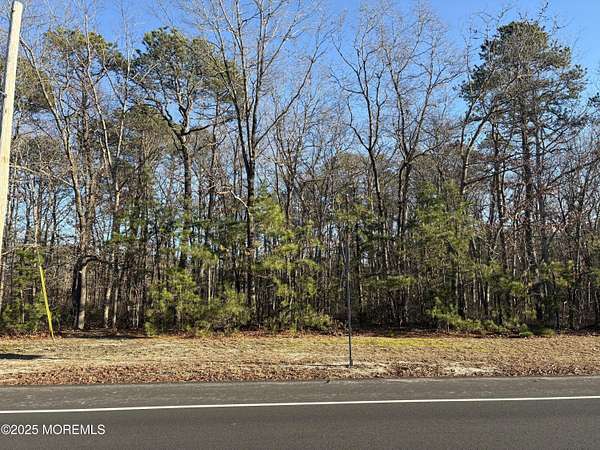 0.29 Acres of Residential Land for Sale in Barnegat, New Jersey