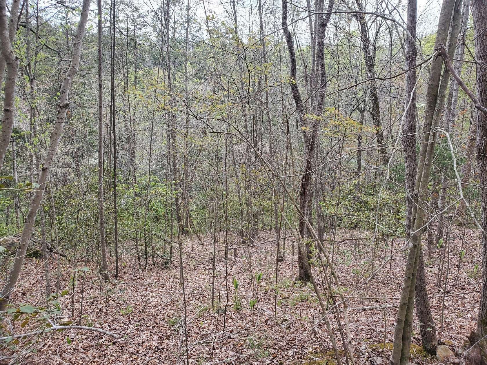 1 Acre of Residential Land for Sale in London, Kentucky