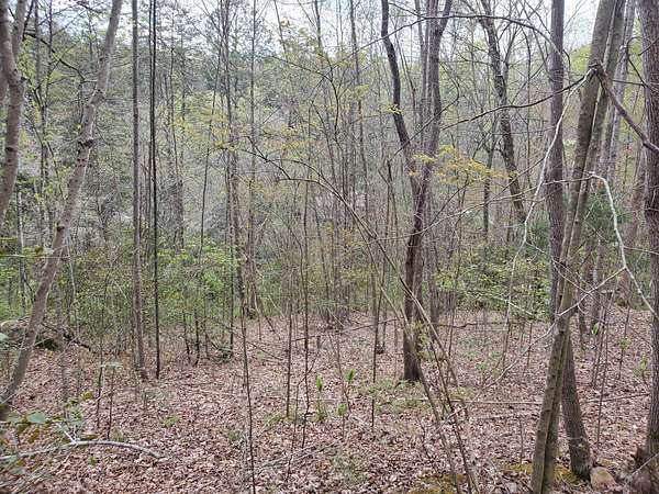 1 Acre of Residential Land for Sale in London, Kentucky