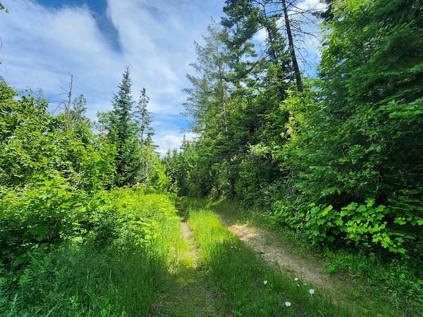 20 Acres of Recreational & Residential Land for Sale in Mead, Washington