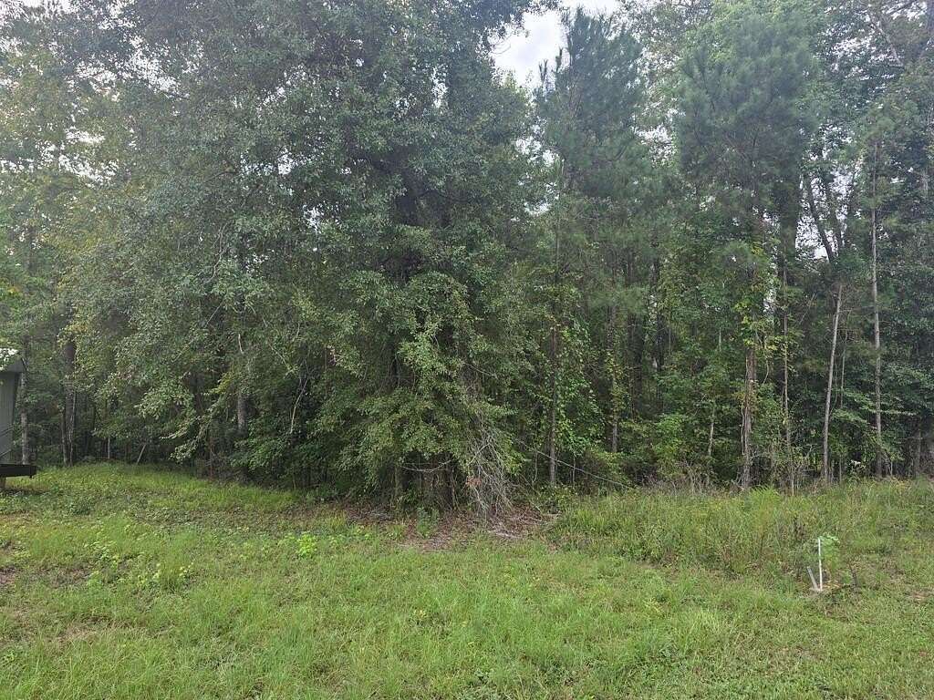0.43 Acres of Residential Land for Sale in Georgetown, Georgia