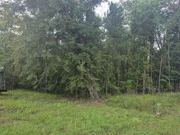 0.43 Acres of Residential Land for Sale in Georgetown, Georgia