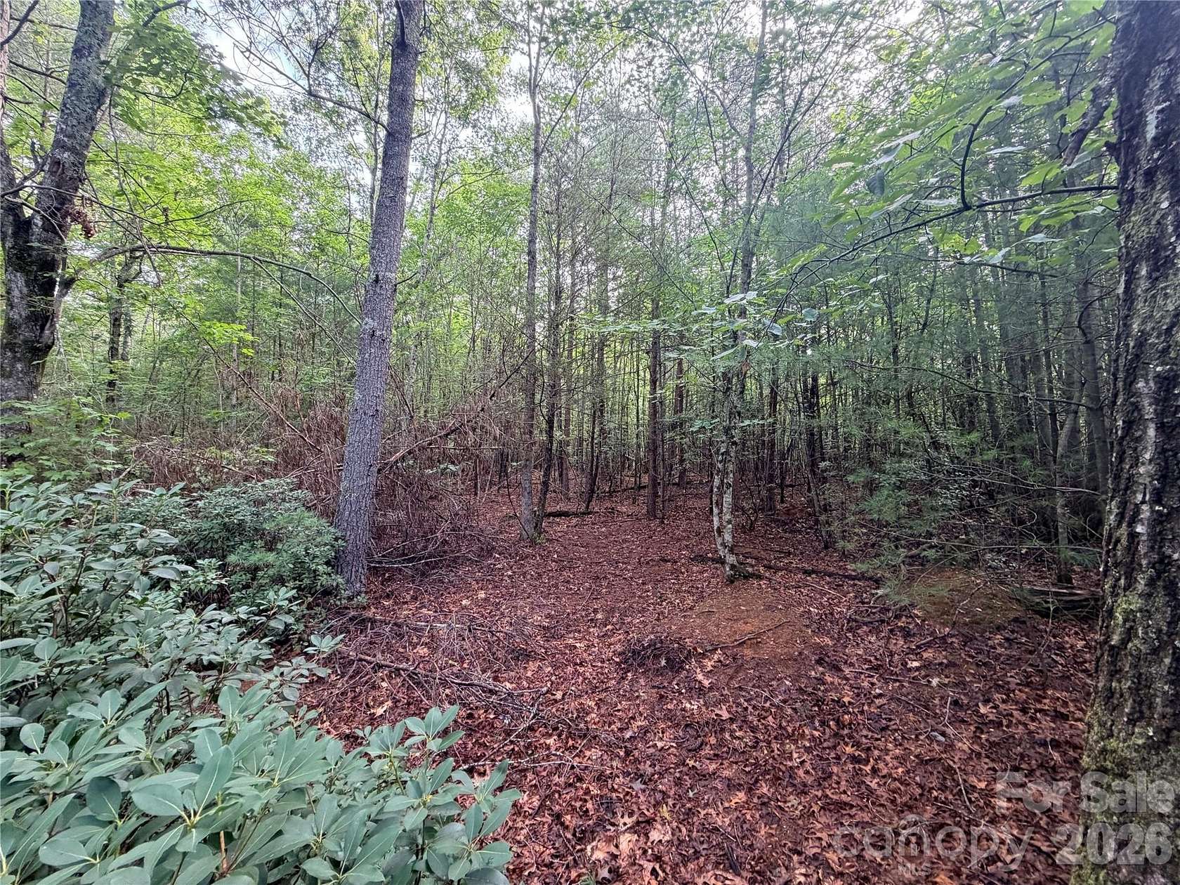2.24 Acres of Residential Land for Sale in Nebo, North Carolina