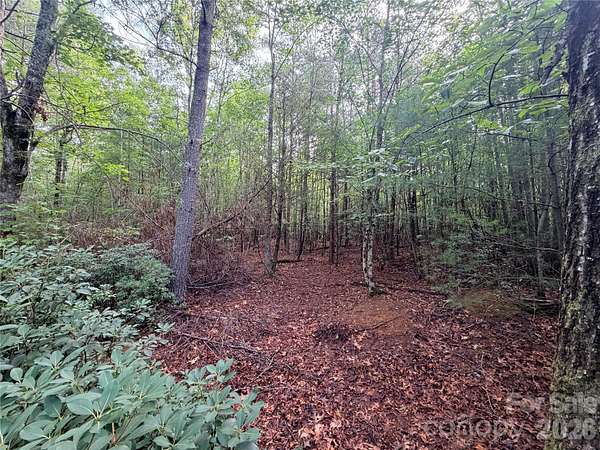 2.24 Acres of Residential Land for Sale in Nebo, North Carolina