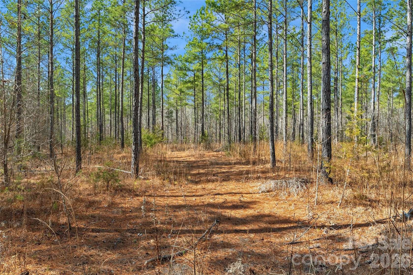 24.6 Acres of Land for Sale in McConnells, South Carolina