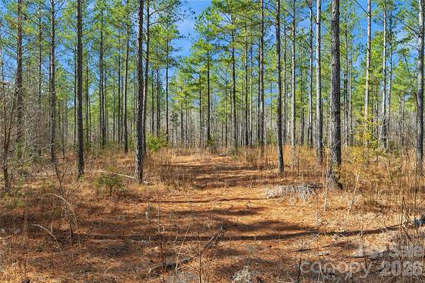 24.6 Acres of Land for Sale in McConnells, South Carolina
