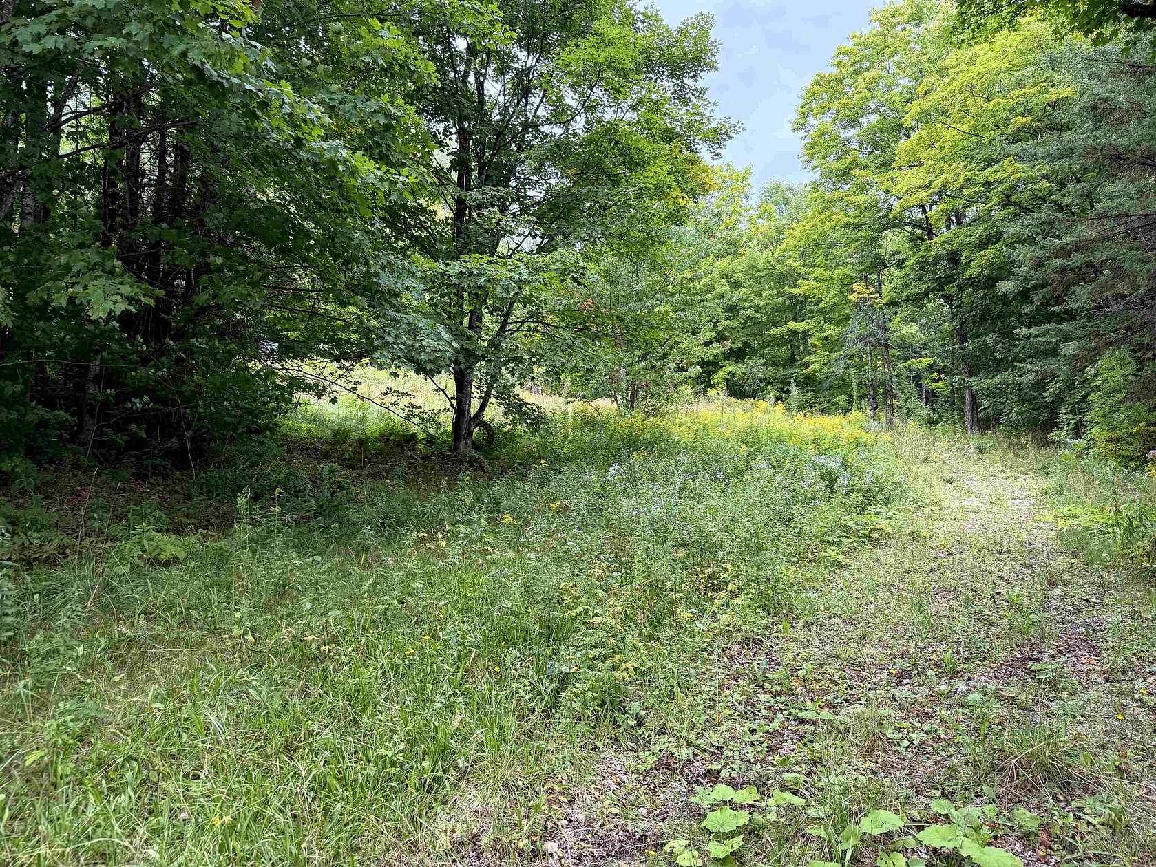 7 Acres of Residential Land for Sale in Sutton, Vermont