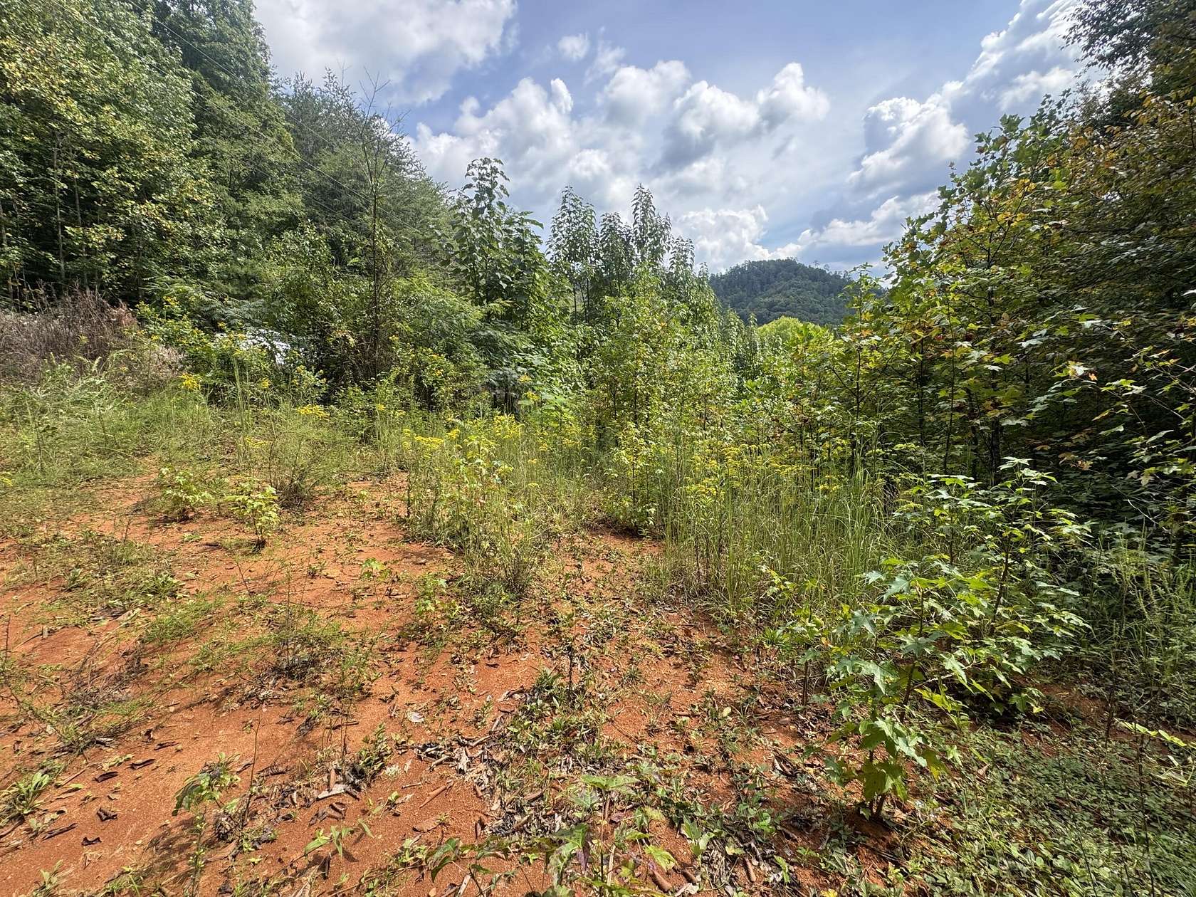 1 Acre of Residential Land for Sale in Del Rio, Tennessee