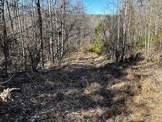 40 Acres of Recreational Land for Sale in Strunk, Kentucky