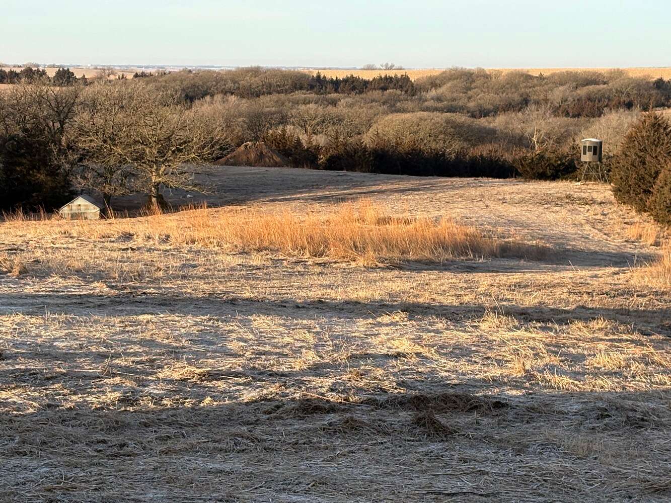 120 Acres of Land for Sale in Schuyler, Nebraska