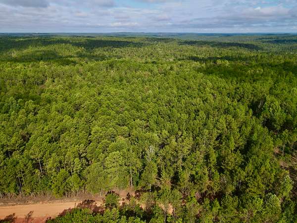 30 Acres of Land for Sale in Clanton, Alabama