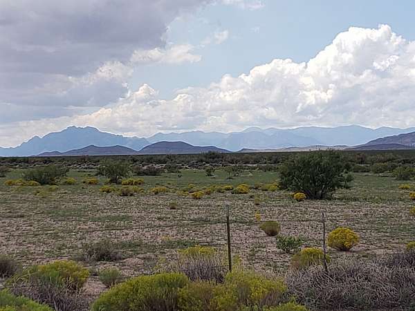 220 Acres of Agricultural Land for Sale in Cotton City, New Mexico
