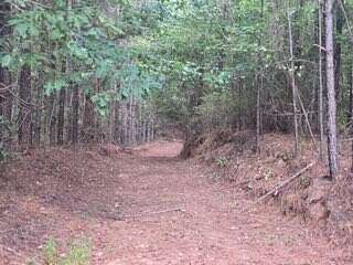 203 Acres of Recreational Land for Sale in Gordo, Alabama