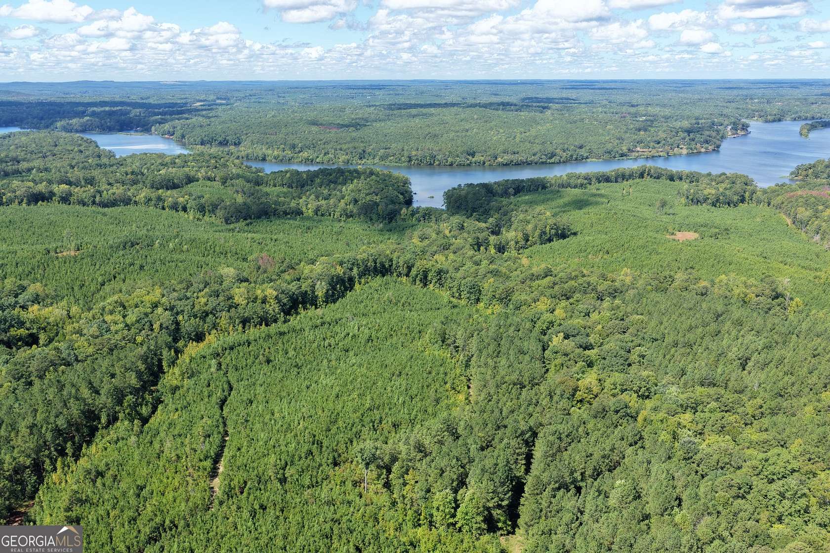 211 Acres of Recreational Land for Sale in Hamilton, Georgia