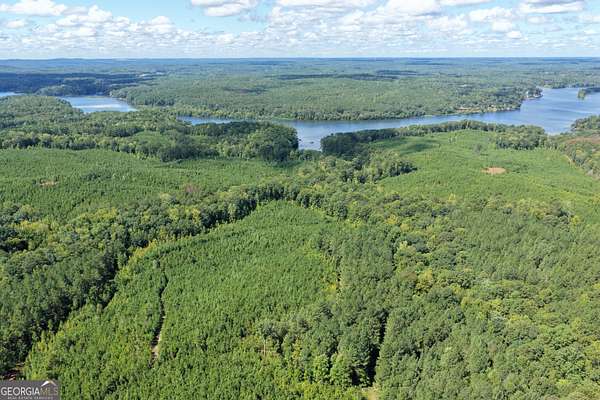 211 Acres of Recreational Land for Sale in Hamilton, Georgia