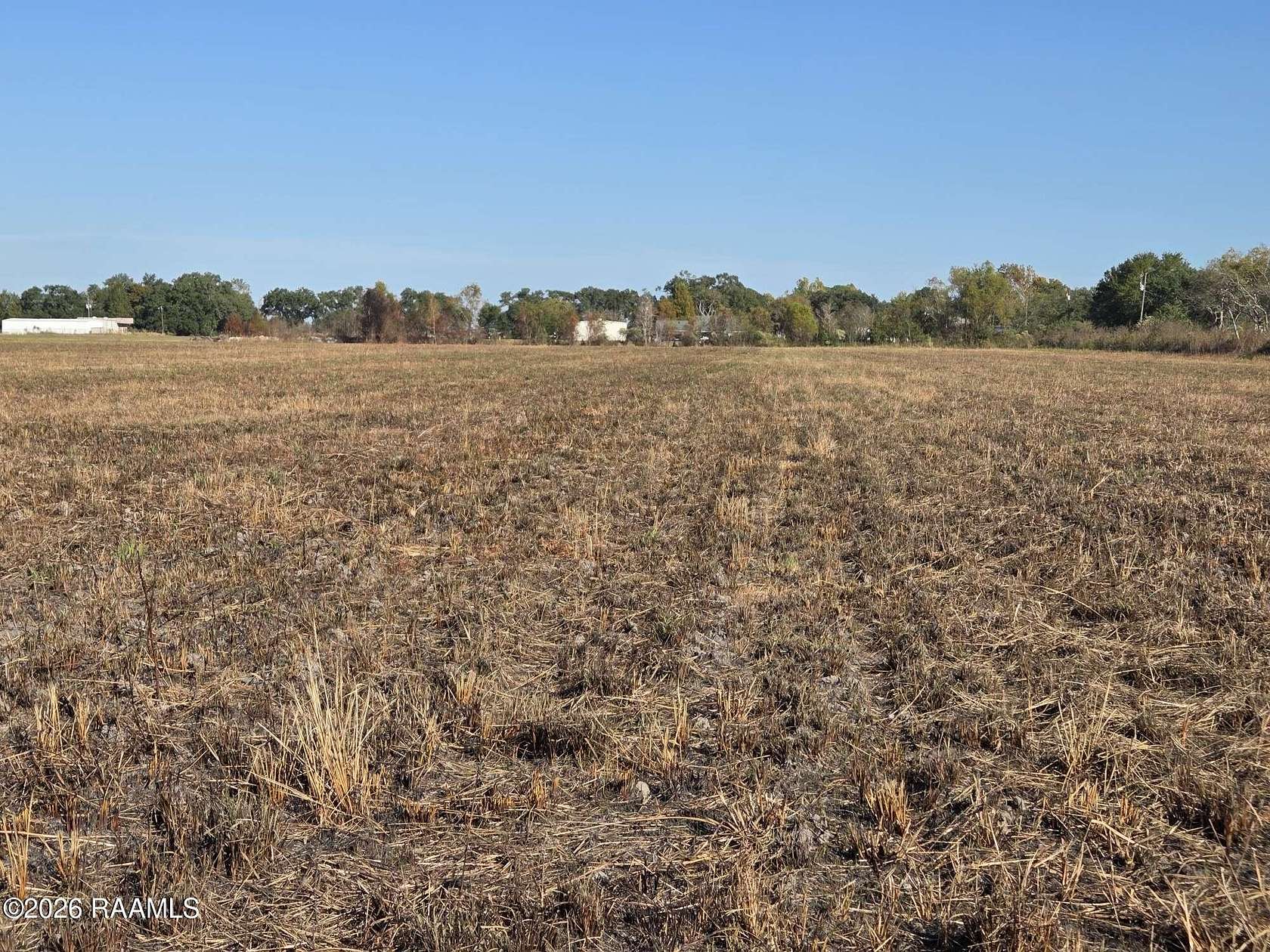 9.5 Acres of Land for Sale in Duson, Louisiana