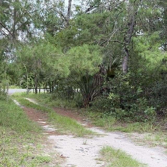 2.87 Acres of Land with Home for Sale in Interlachen, Florida